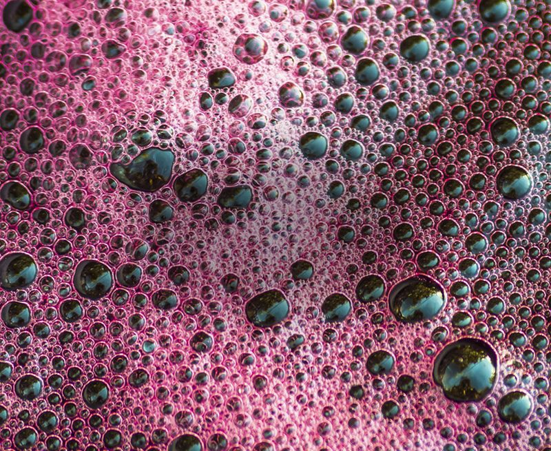 Lambrusco