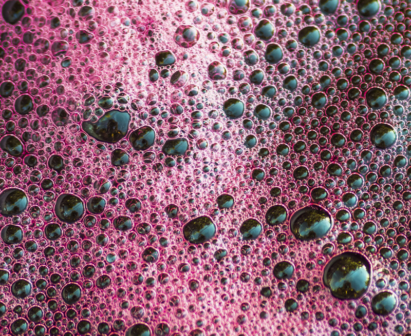 Lambrusco