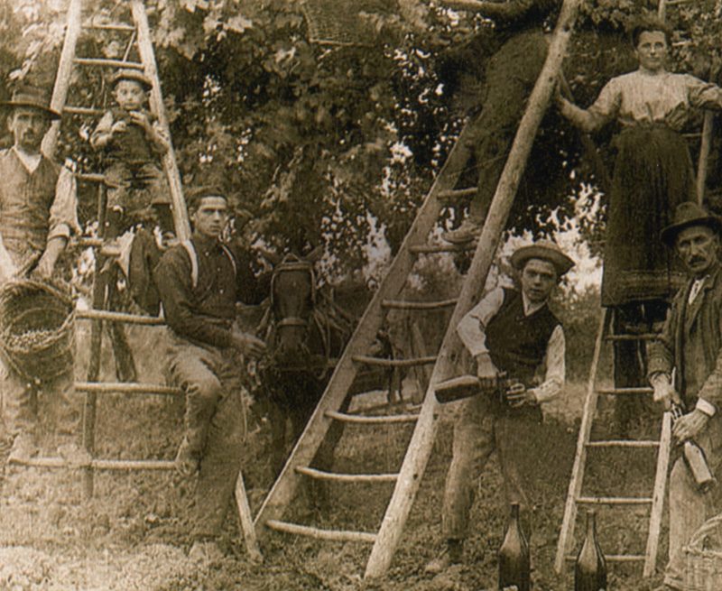 Storia Albinea Canali