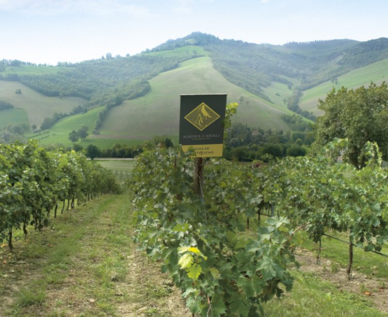 Territorio